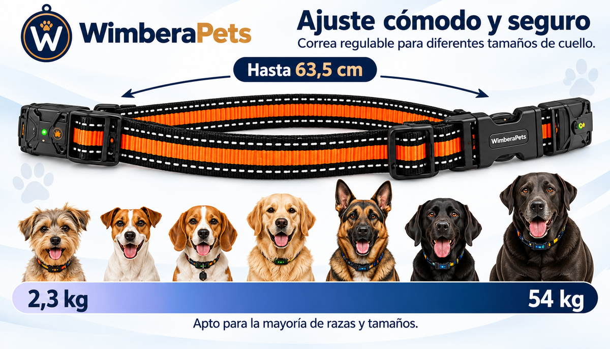 Collar WimberaPets
