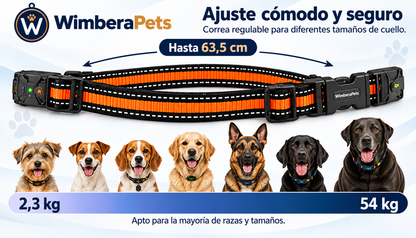 Collar WimberaPets