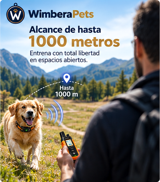 Collar WimberaPets